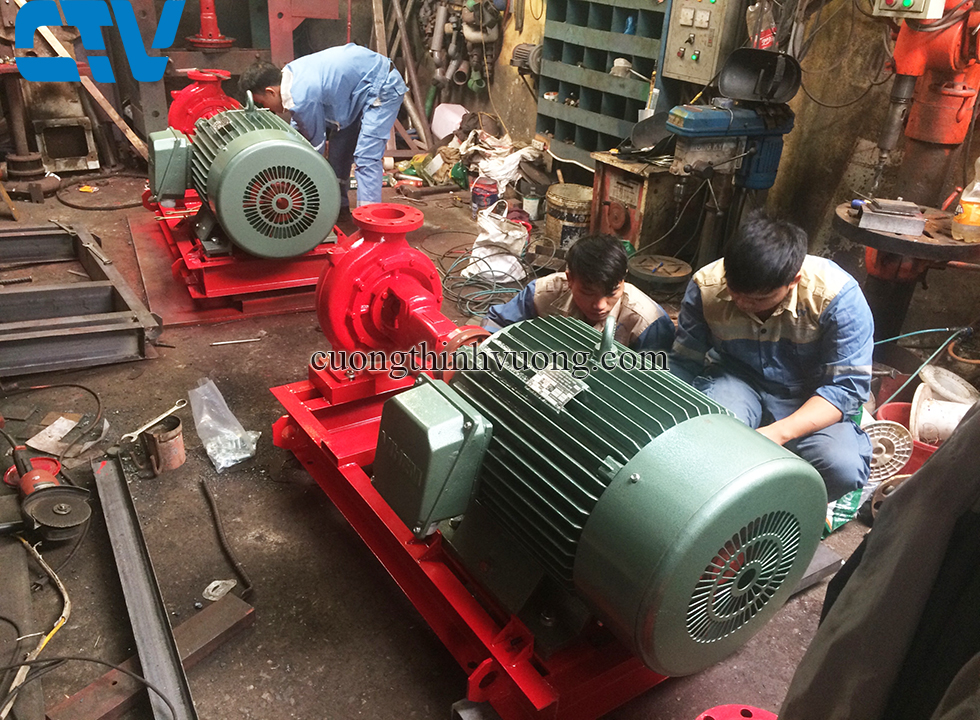 Hỗ trợ khảo sát,  lắp đặt và vận hành khi thuê máy bơm tại Cường Thịnh Vương