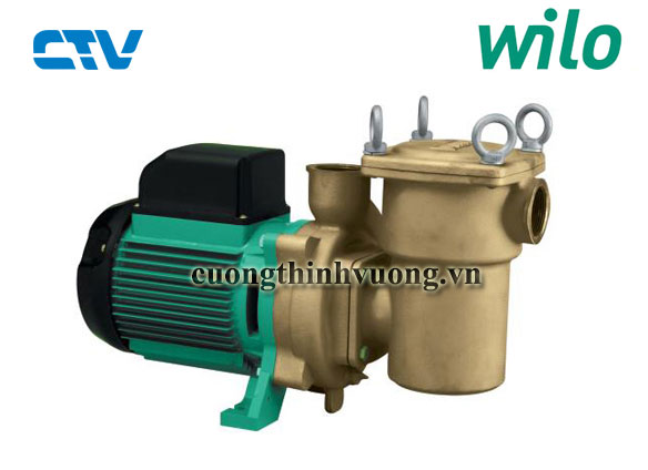 Máy bơm hồ bơi Wilo-sự lựa chọn tuyệt vời để bơm nước hồ bơi