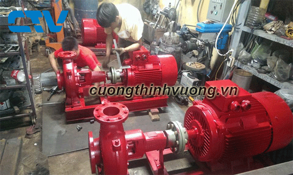 Giới thiệu dịch vụ sửa máy bơm chữa cháy của Cường Thịnh Vương