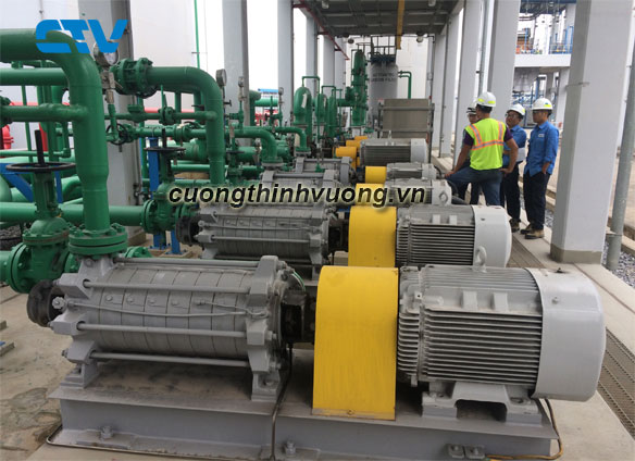 10 lý do bạn nên sửa máy bơm nước tại Cường Thịnh Vương