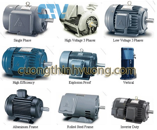 Động cơ máy bơm nước Teco
