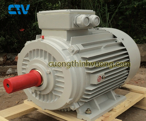 Động cơ điện ESC