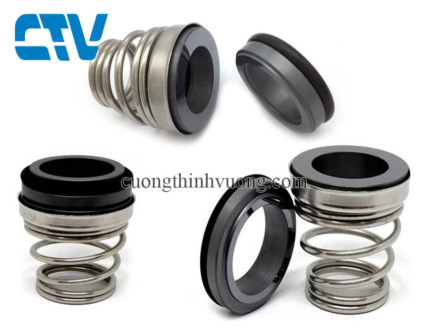 Phớt nhọn, phớt máy bơm trục ngang Pentax type 155 (155A)-10
