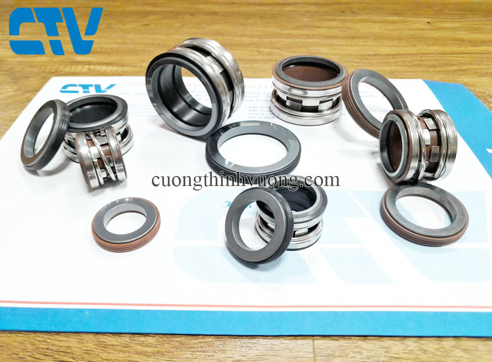 Phớt máy bơm trục ngang Ebara, phớt bơm 2100-58