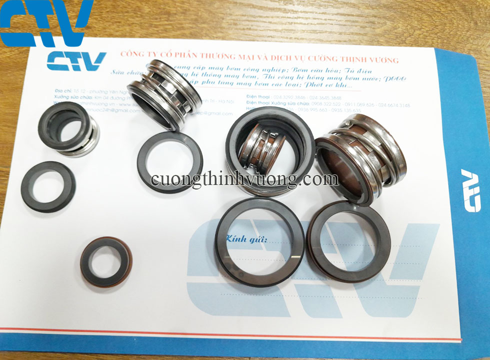 Phớt máy bơm trục ngang Teral 2100-10